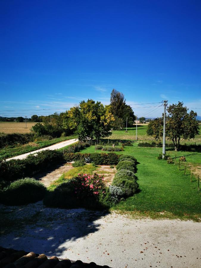 La Casa Dei Tigli Bed & Breakfast Cannara Exterior photo