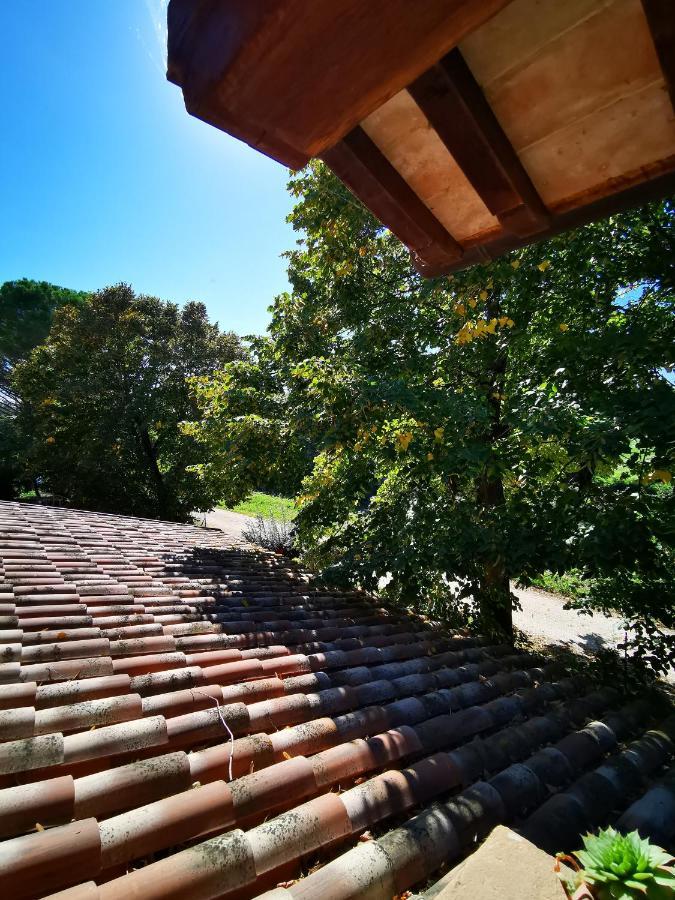 La Casa Dei Tigli Bed & Breakfast Cannara Exterior photo