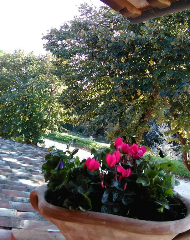 La Casa Dei Tigli Bed & Breakfast Cannara Room photo